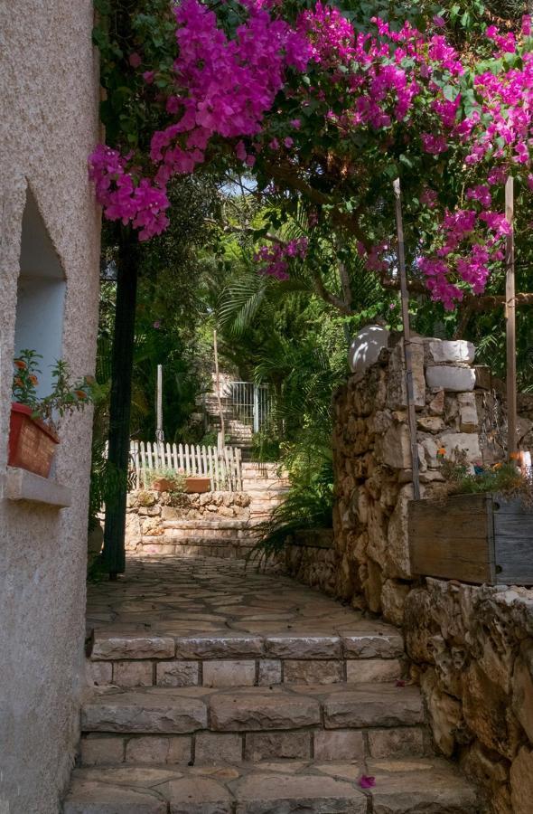 Natural Reserve Apartment Zikhron Ya‘akov Luaran gambar