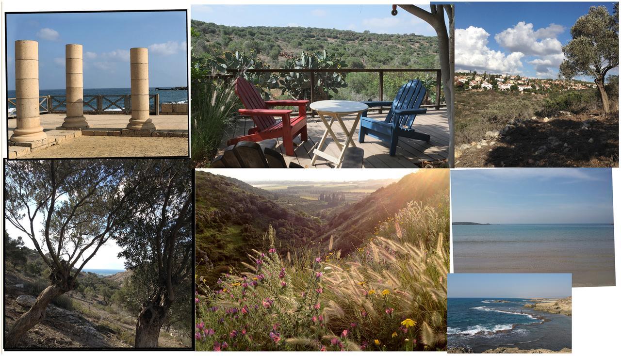 Natural Reserve Apartment Zikhron Ya‘akov Luaran gambar